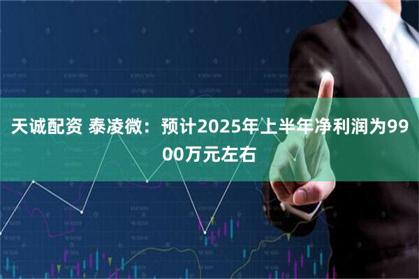 天诚配资 泰凌微：预计2025年上半年净利润为9900万元左右